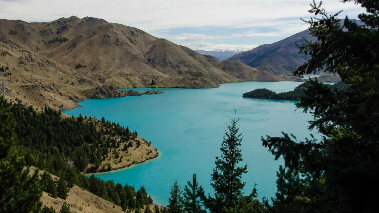 Ocio En San Cristóbal De La Laguna
