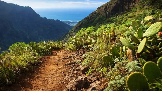La Laguna Agraria: Vega lagunera, Rodeos y Tejina